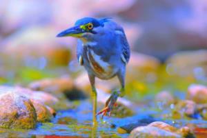 骑士客场击败凯尔特人，汤普森犀利突破