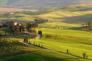 尤文图斯遭受重创，遭遇连败