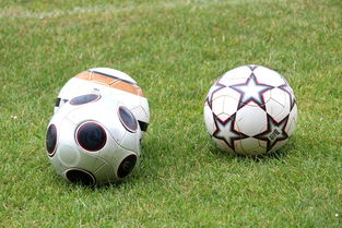 九游娱乐下载-基层足球俱乐部资金短缺，基层足球俱乐部资金短缺的原因